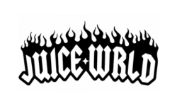 Juice Wrld Hoodie